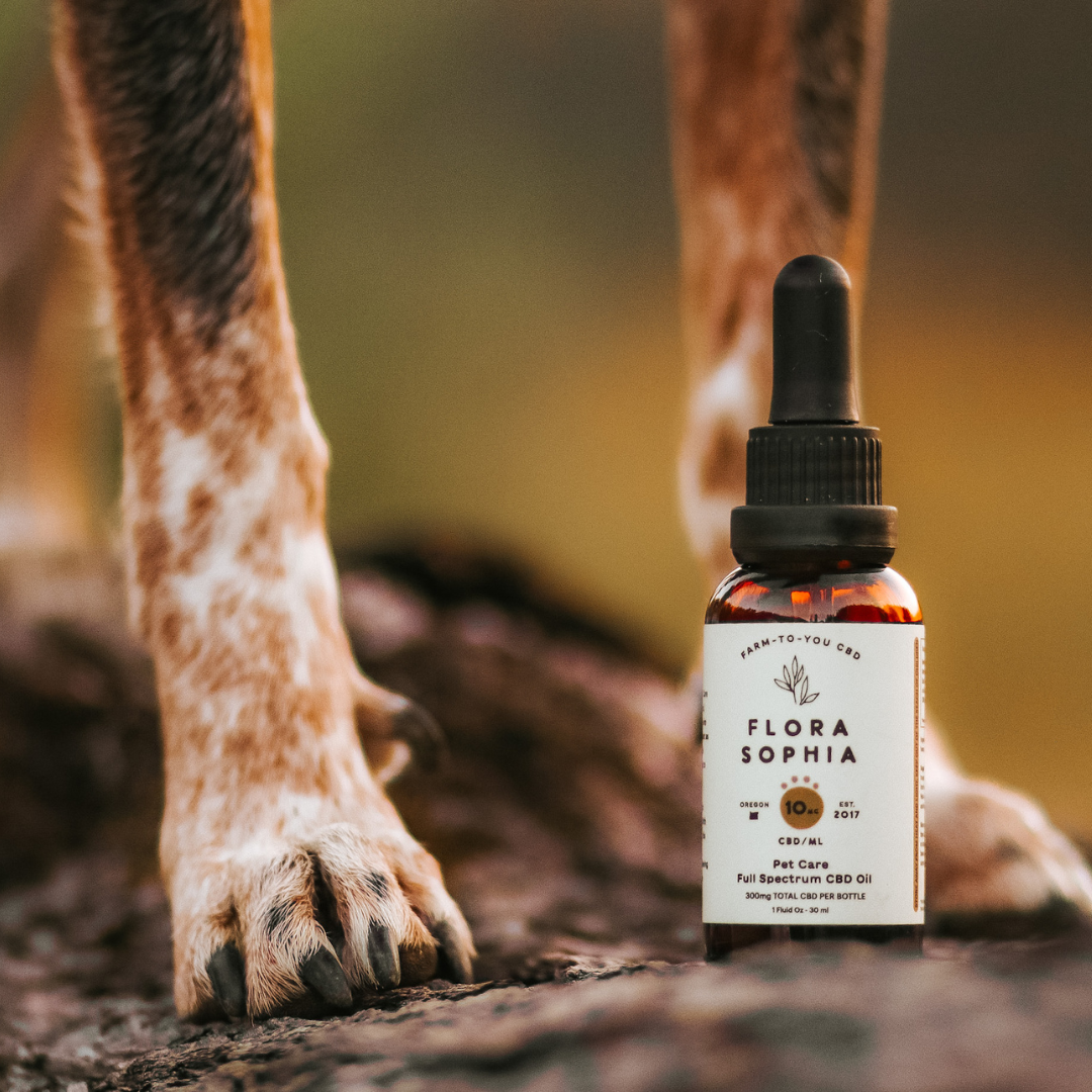 Pet Care 10mg Full Spectrum CBD – Flora Sophia Botanicals