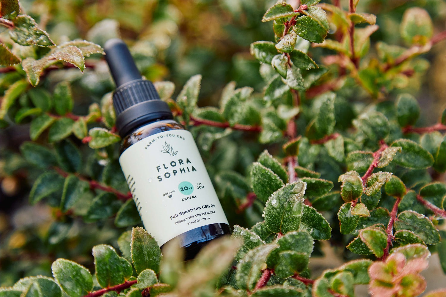 What Is a CBD + CBG Tincture? A Simple Guide
