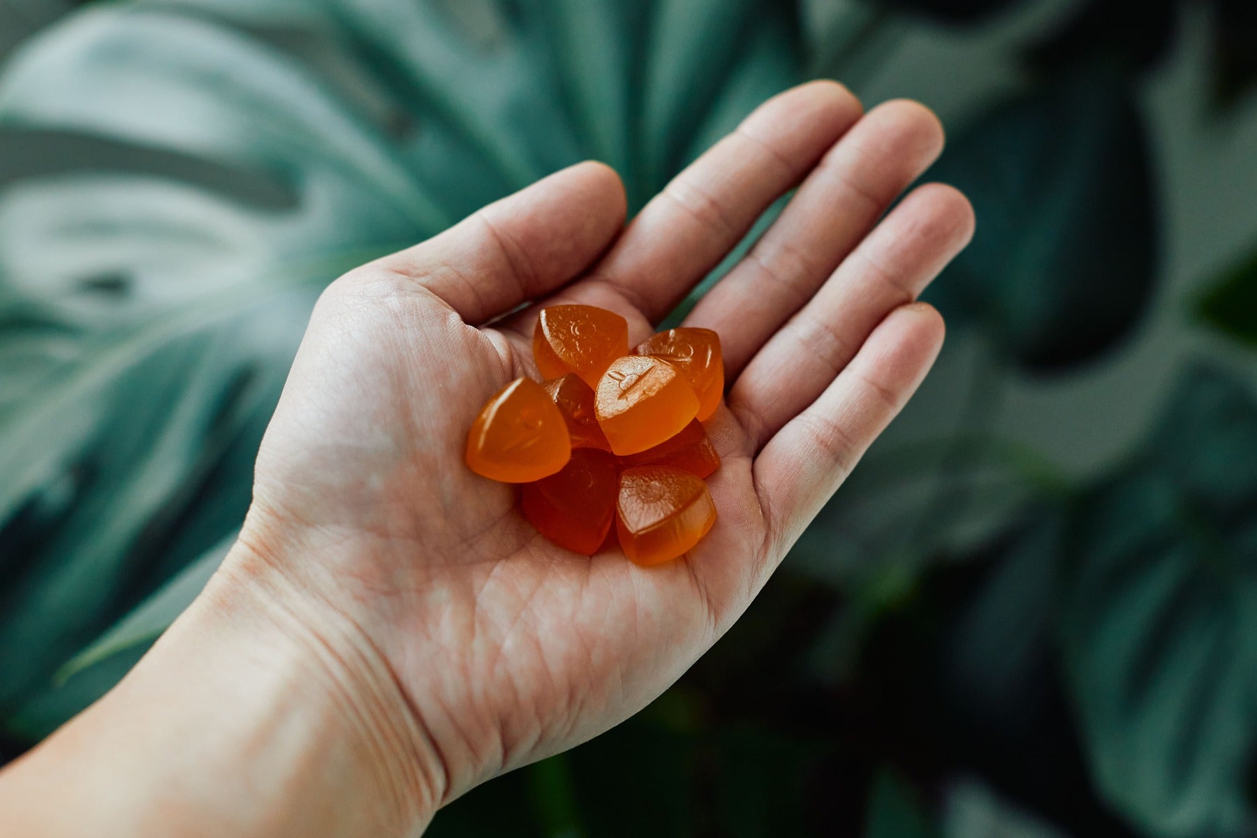 5 Best CBD Gummies for Relaxation: A Simple Guide