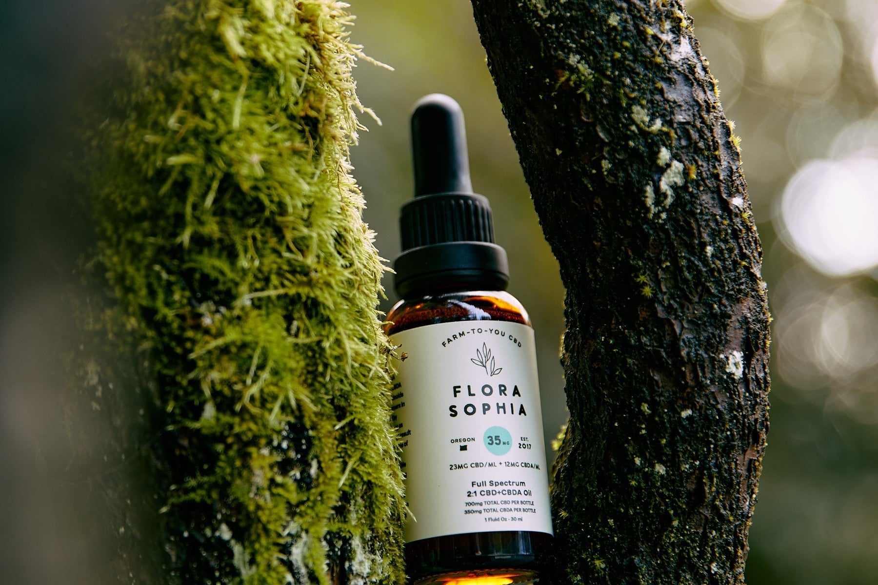 How to Buy CBDA Oil: A Simple Buyer's Guide