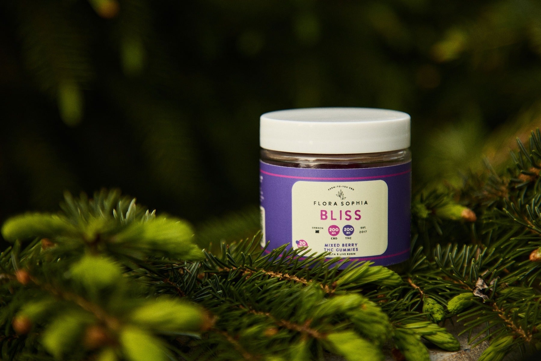 How to Find a Quality CBD Edibles Online Shop