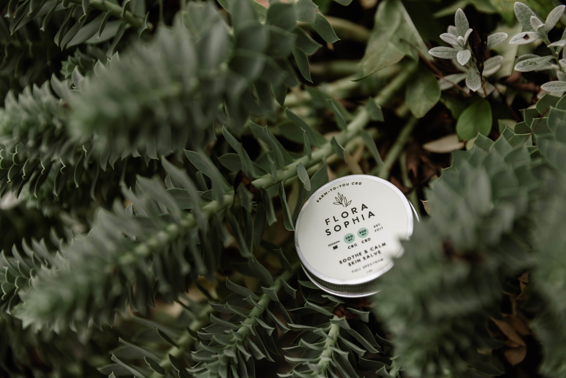 What Is Organic Hemp Salve & How Does It Work?