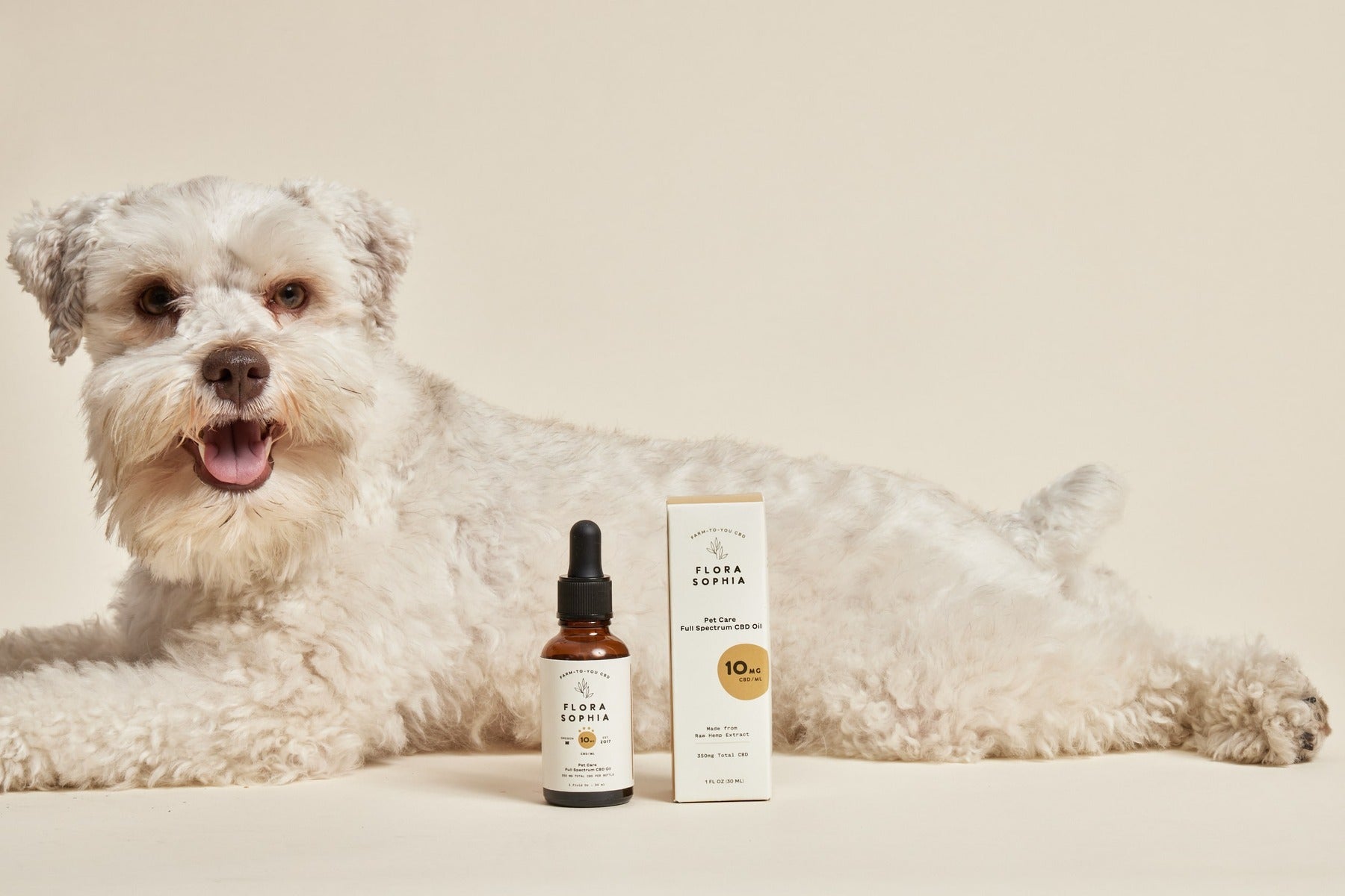 A Guide to Natural Pet CBD Supplements