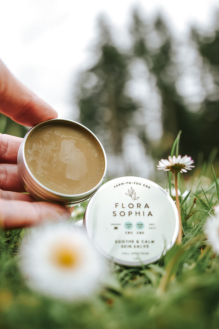 What is CBD Salve?