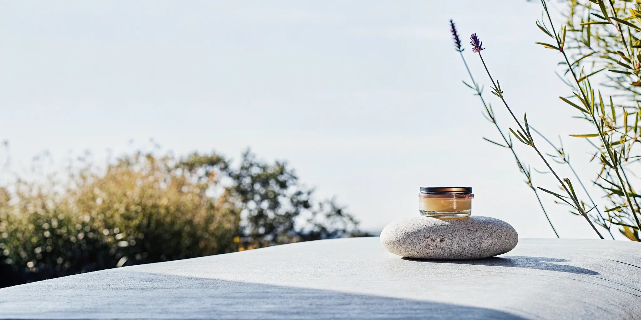 A jar of full spectrum CBD balm sits on a stone with fresh lavender.