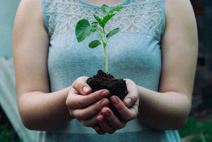 Celebrating the Power of Nature