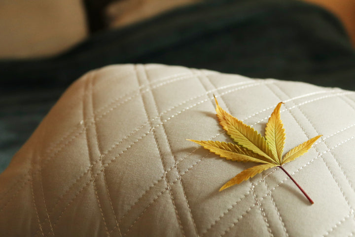 The Science of CBD for Sleep