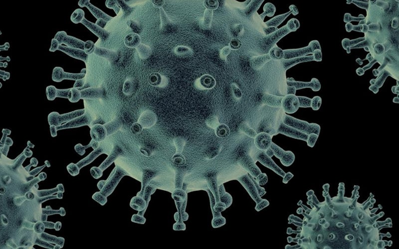 CDBA - The Unassuming Immunity Booster