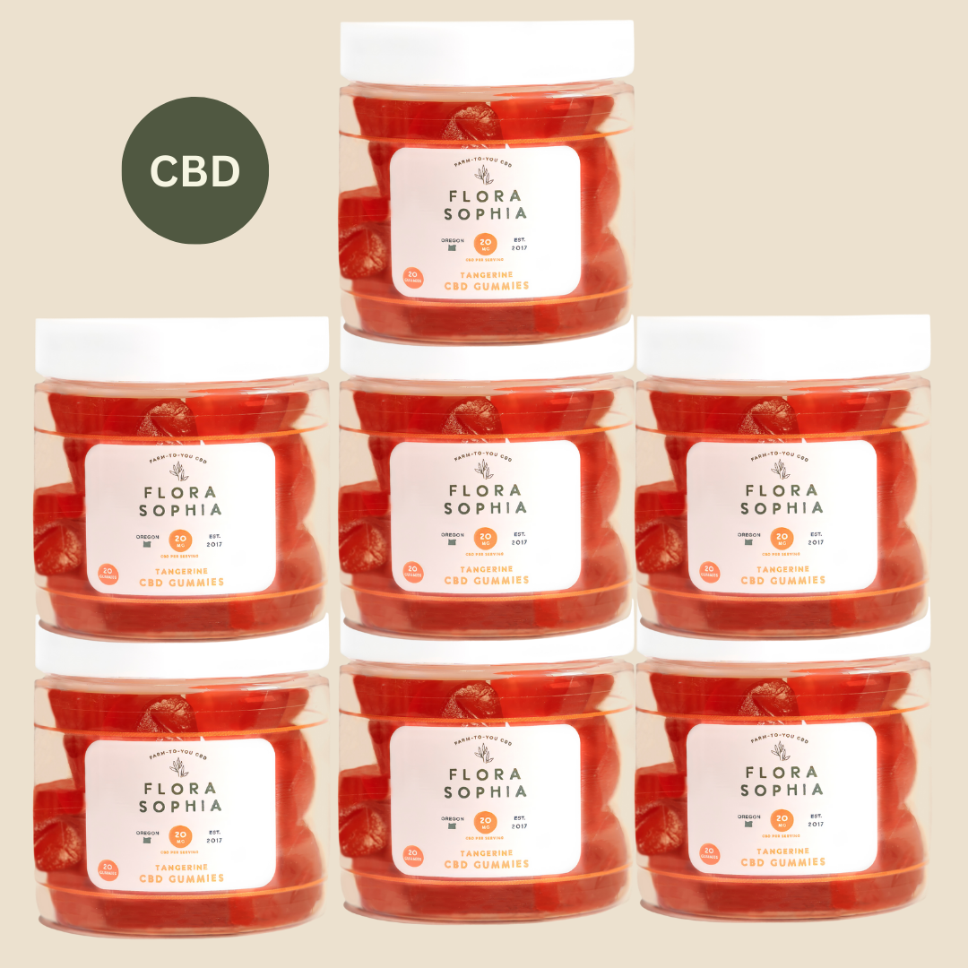 20mg Tangerine CBD Gummies Chronic Care Package