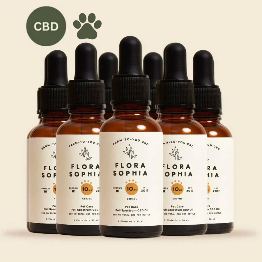 Pet Care 10mg CBD Tincture Chronic Care Package