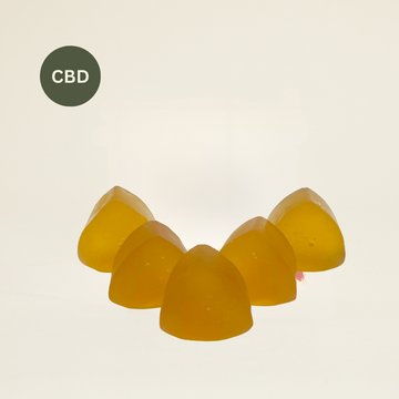 Gummies Sample Pack: 5 Pack
