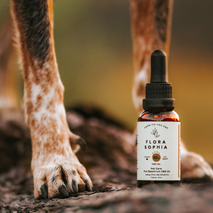 Pet Care 10mg Full Spectrum CBD